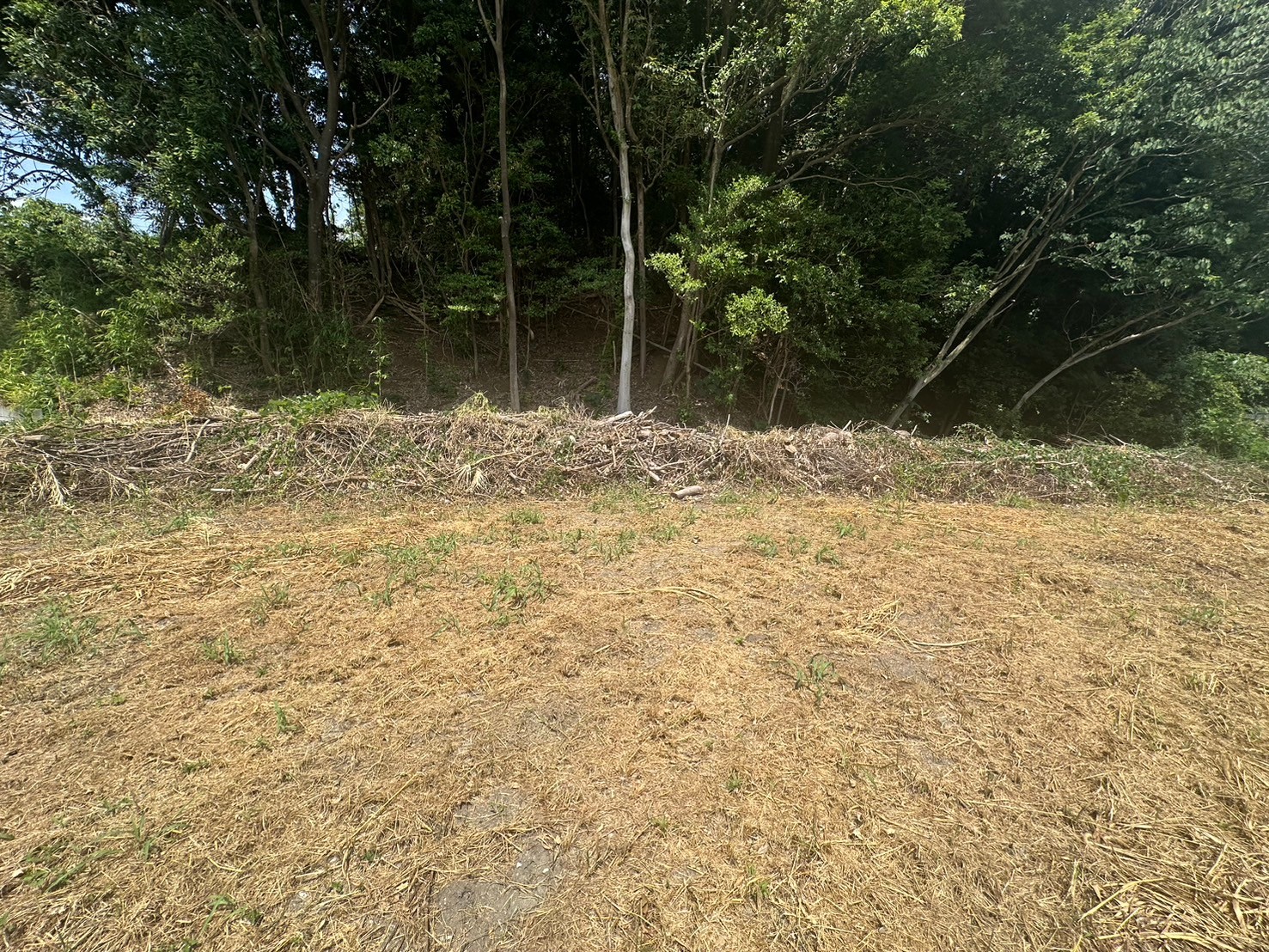 grass_root_cutting