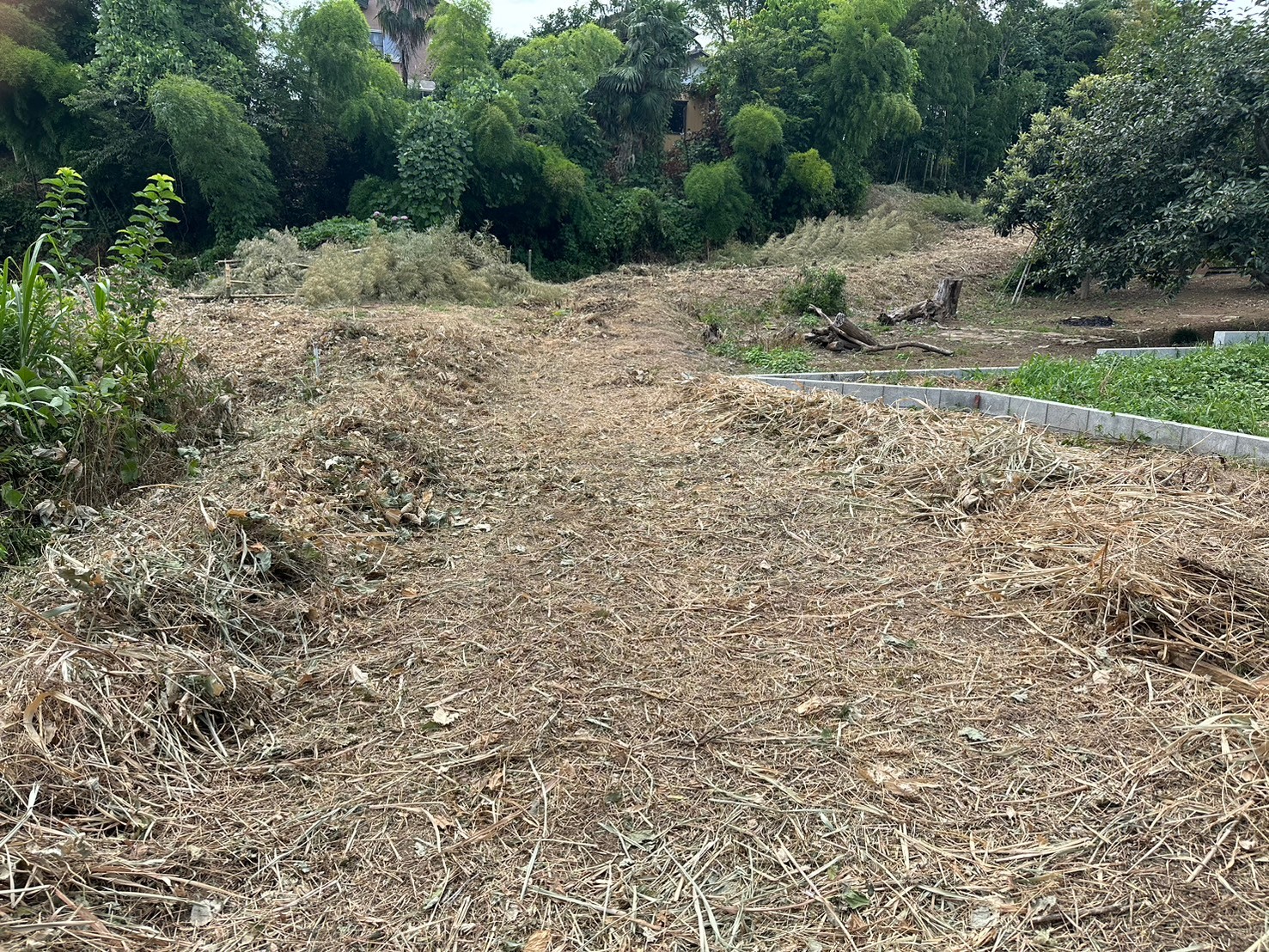 grass_root_cutting