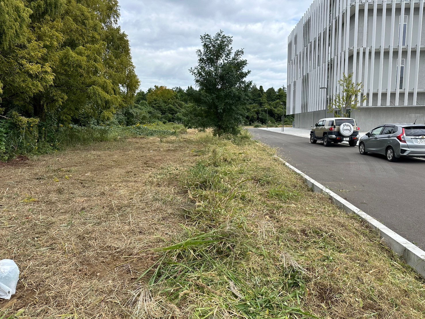 grass_root_cutting