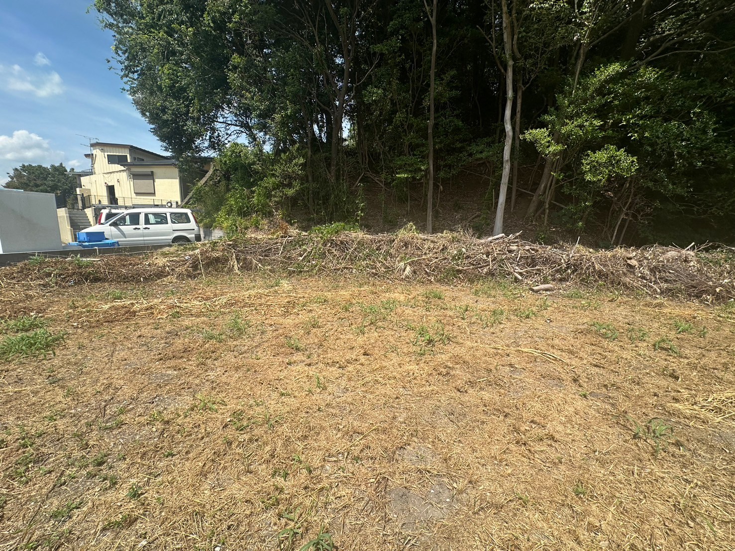 grass_root_cutting