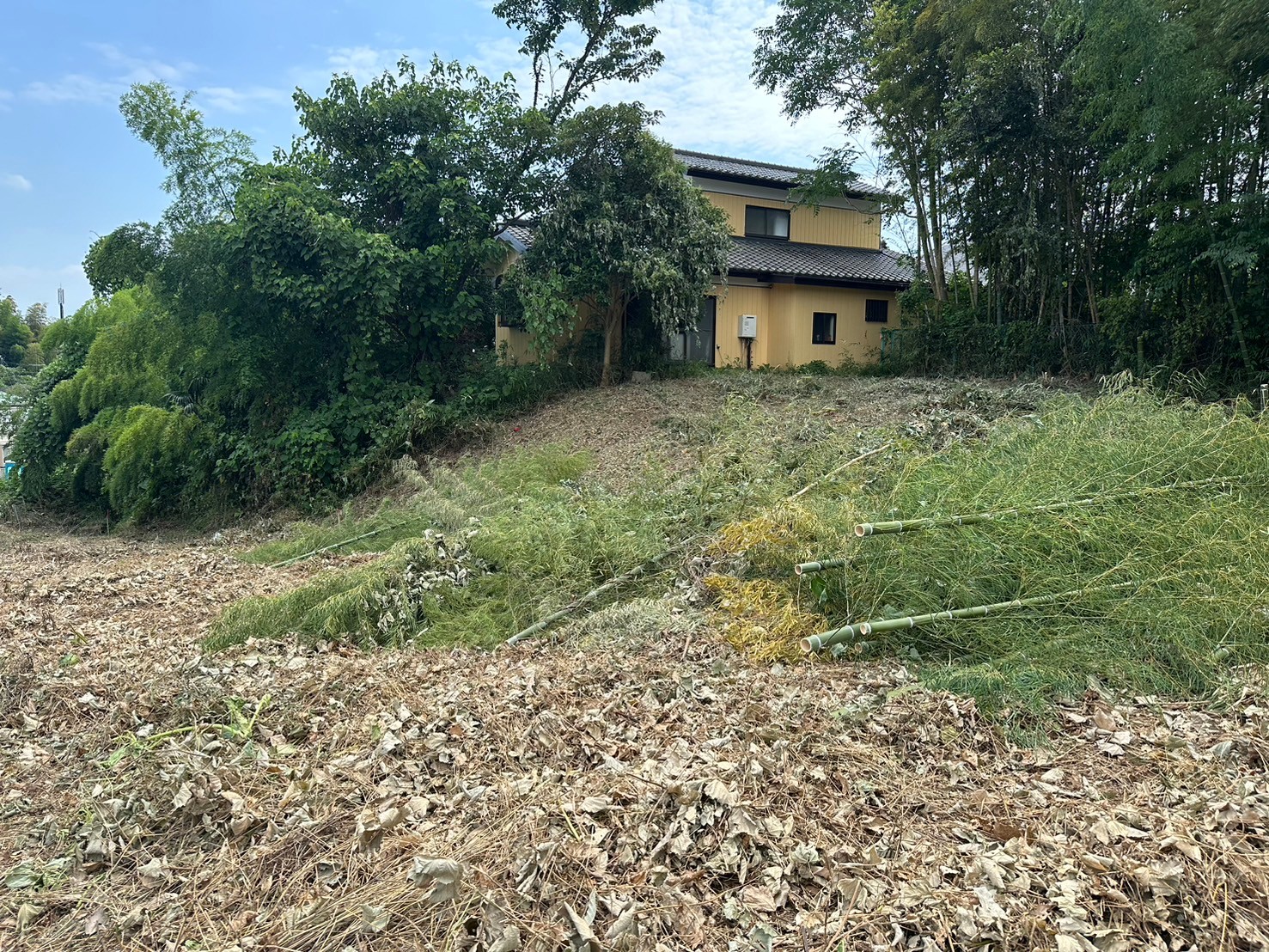 grass_root_cutting