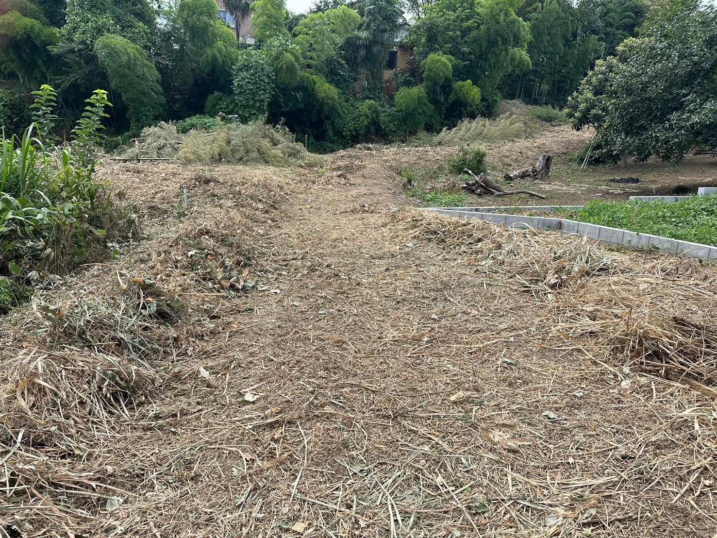 grass_root_cutting
